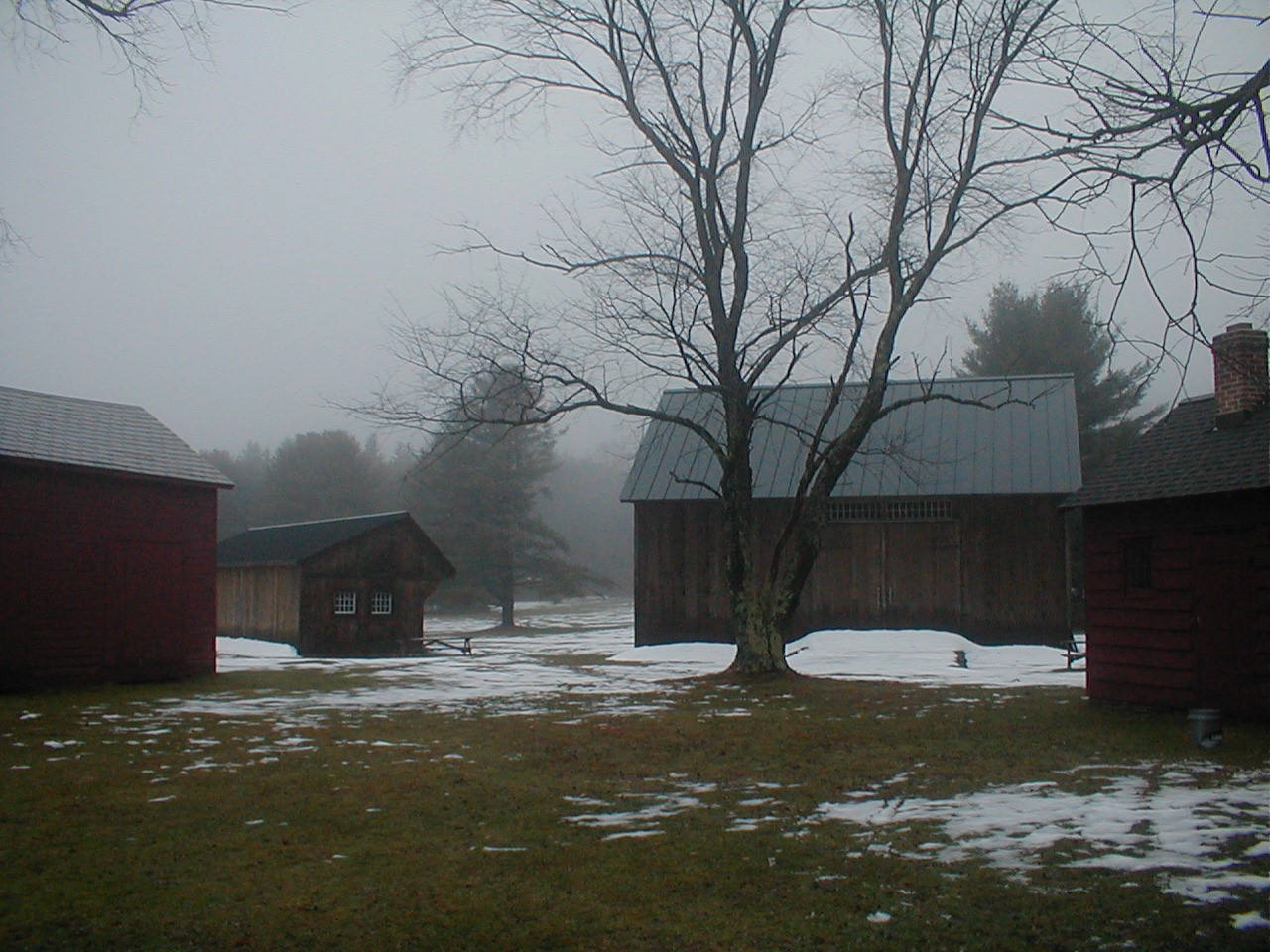 Barn&Shed in Fog